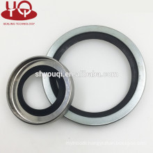 Hot Rubber truck wheel hub oil seal Machinery Hydraulic Metal frame SB Oil Seals